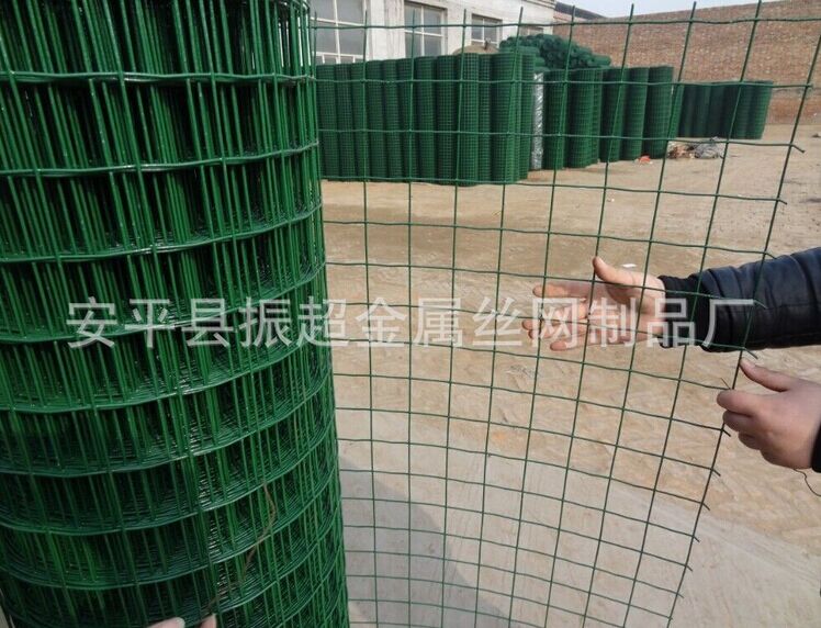 荷兰网 安平县振超金属丝网制品厂-www.apzhenchao.com