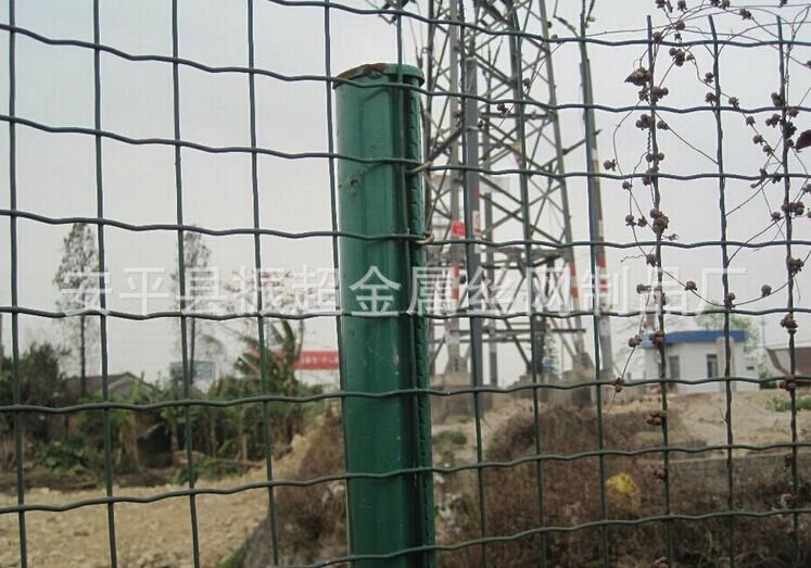 围墙荷兰网-安平县振超金属丝网制品厂www.apzhenchao.com