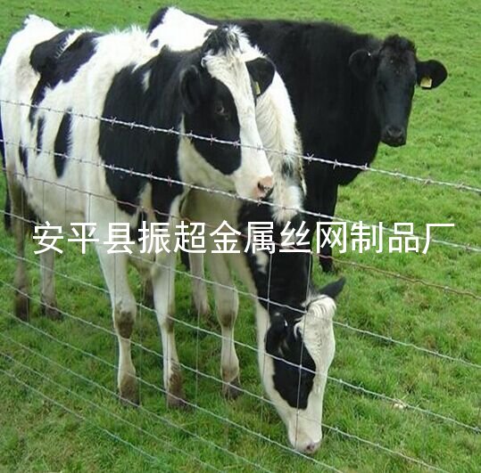圈牛网圈羊网草原网-安平县振超金属丝网制品厂