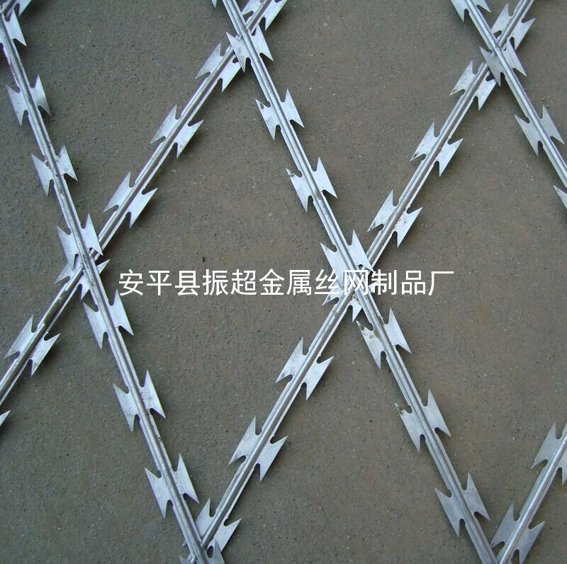 带刺钢丝网-安平县振超金属丝网制品厂