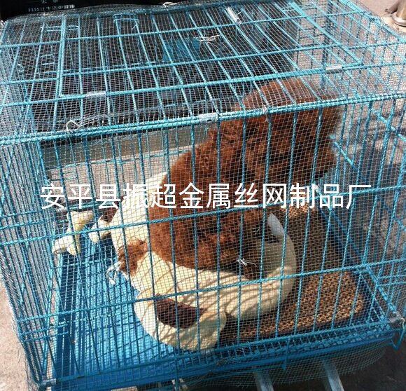 铁丝网笼-http://www.apzhenchao.com