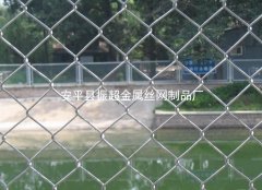 镀锌防护网