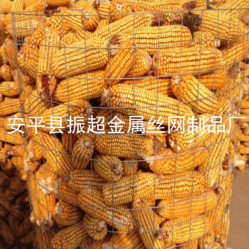 钢丝网-www.apychl.com