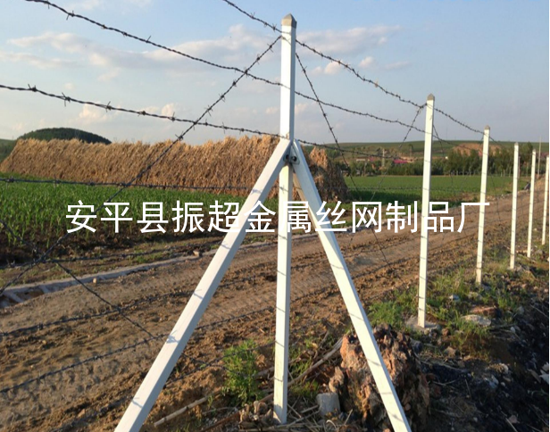 有刺铁丝围网,带刺铁丝围栏-www.apzhenchao.com