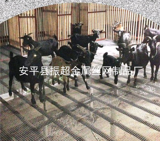 钢丝网羊床，羊床漏粪板——www.apzhenchao.com